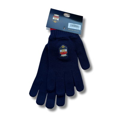 Willem II Handschoenen - Senior