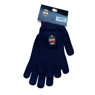 Willem II Gloves - Senior