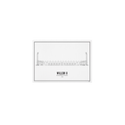 Willem II WIJCK Print Koning Willem  II Stadion Ansichtkaart